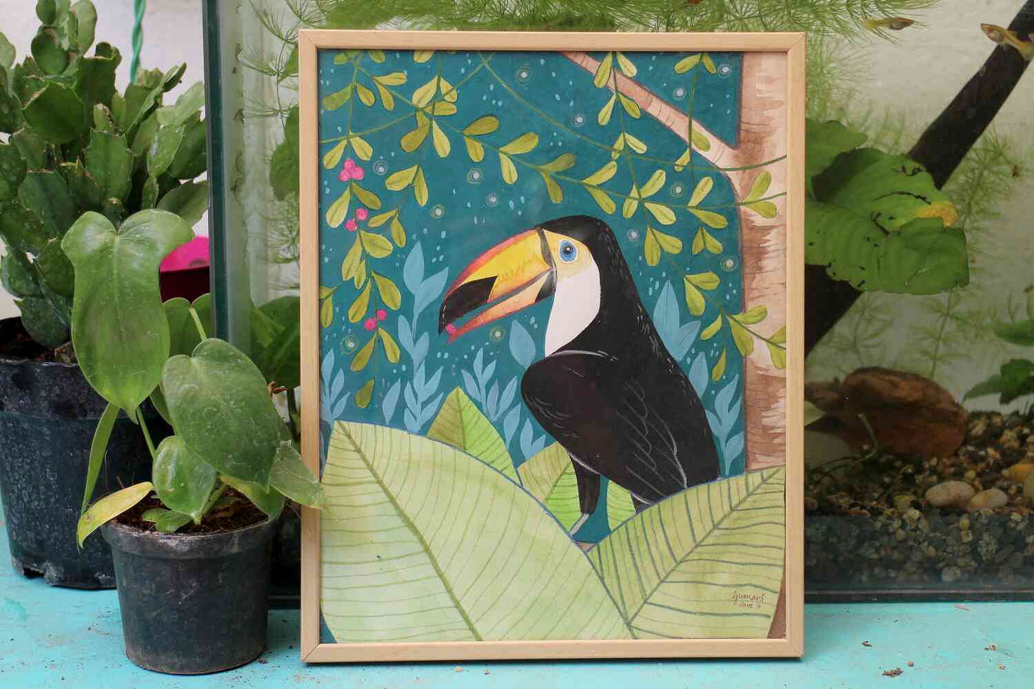 Bird,Toucan,Botany,Hornbill,Plant,Piciformes,Art,Beak,Flower,Coraciiformes