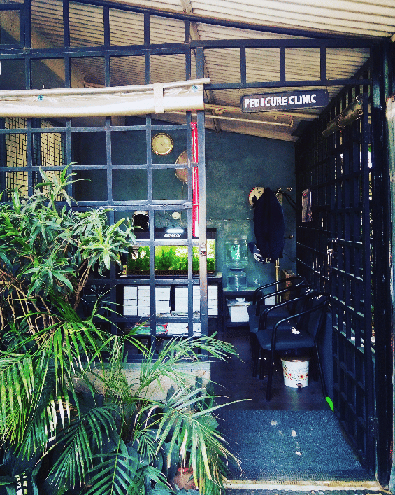 Building,Urban area,Architecture,Tree,House,Plant,Facade,City