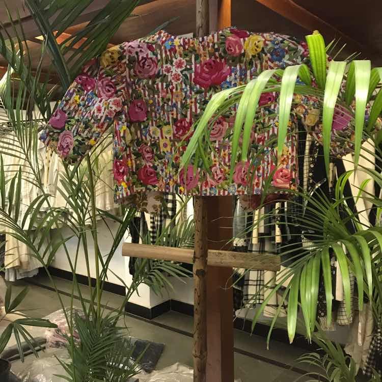 Flower,Plant,Botany,Floristry,Terrestrial plant,Floral design,Moth Orchid,Orchids of the philippines,Flowering plant,Orchid