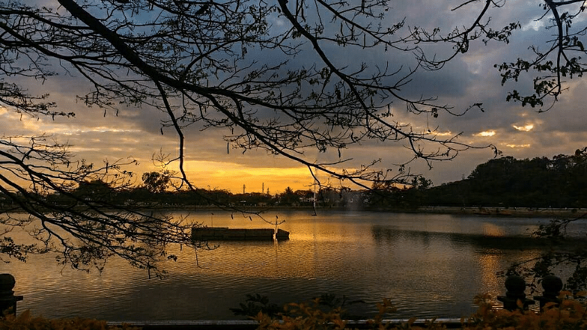 Enjoy The Calm Lakeside View Of Sankey Tank | LBB, Bangalore
