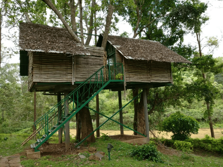 House,Shack,Building,Tree house,Tree,Cottage,Rural area,Hut,Roof,Jungle