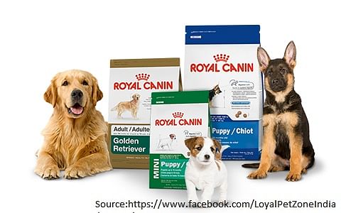 Dog breed,Dog,Canidae,Pet food,Puppy,Carnivore,Companion dog,Dog food,Paw,Collar