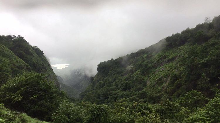 Nature,Hill station,Highland,Vegetation,Mountainous landforms,Atmospheric phenomenon,Mountain,Natural landscape,Nature reserve,Valley