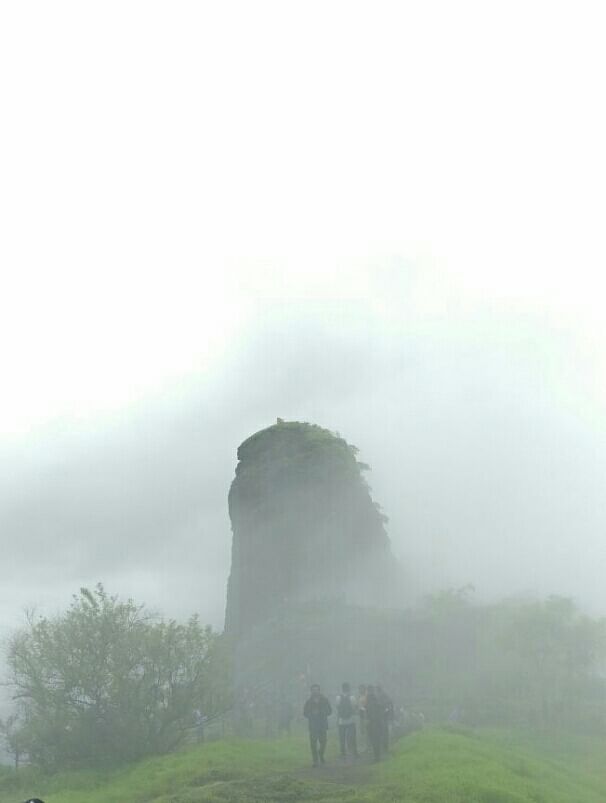 Mist,Atmospheric phenomenon,Fog,Haze,Sky,Green,Natural landscape,Atmosphere,Morning,Tree