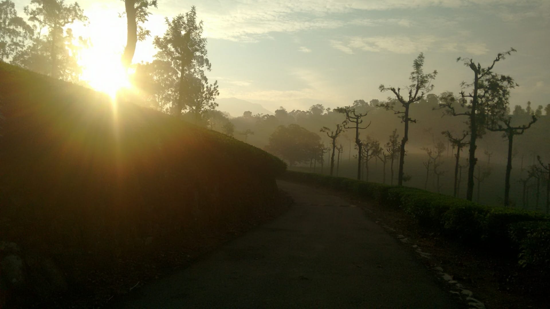 img-gallery-featured