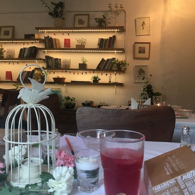 Room,Pink,Interior design,Shelf,Glass,Table,Furniture,Home,Plant,Brunch