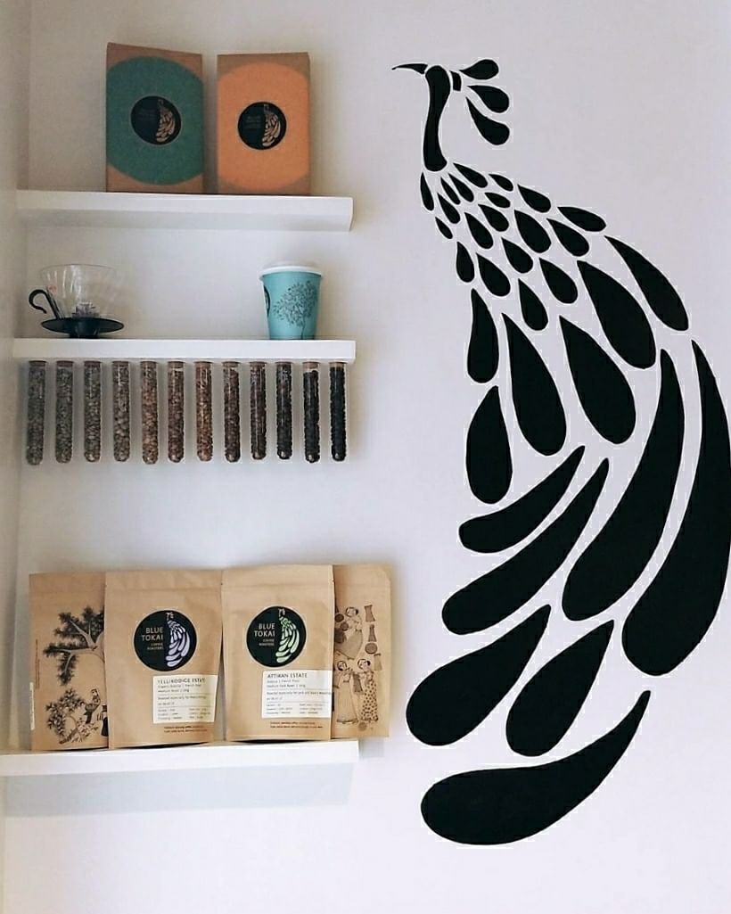 Feather,Wall,Room,Shelf,Furniture,Interior design,Eyelash,Sticker