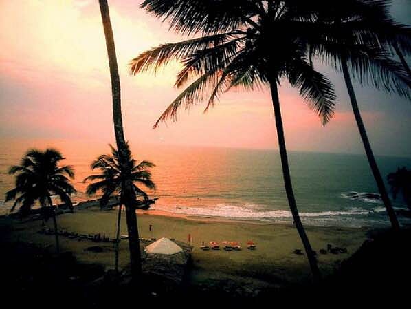 Sky,Tree,Tropics,Palm tree,Horizon,Sunset,Arecales,Vacation,Beach,Sea