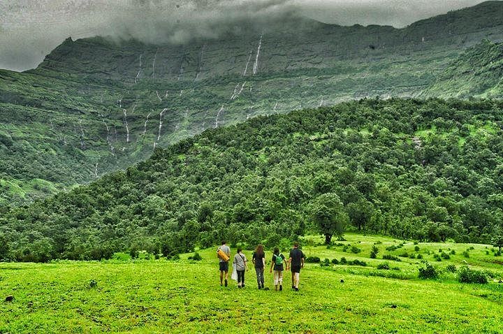 Highland,Grassland,Mountainous landforms,Hill station,Pasture,Natural landscape,Nature,Plantation,Hill,Vegetation