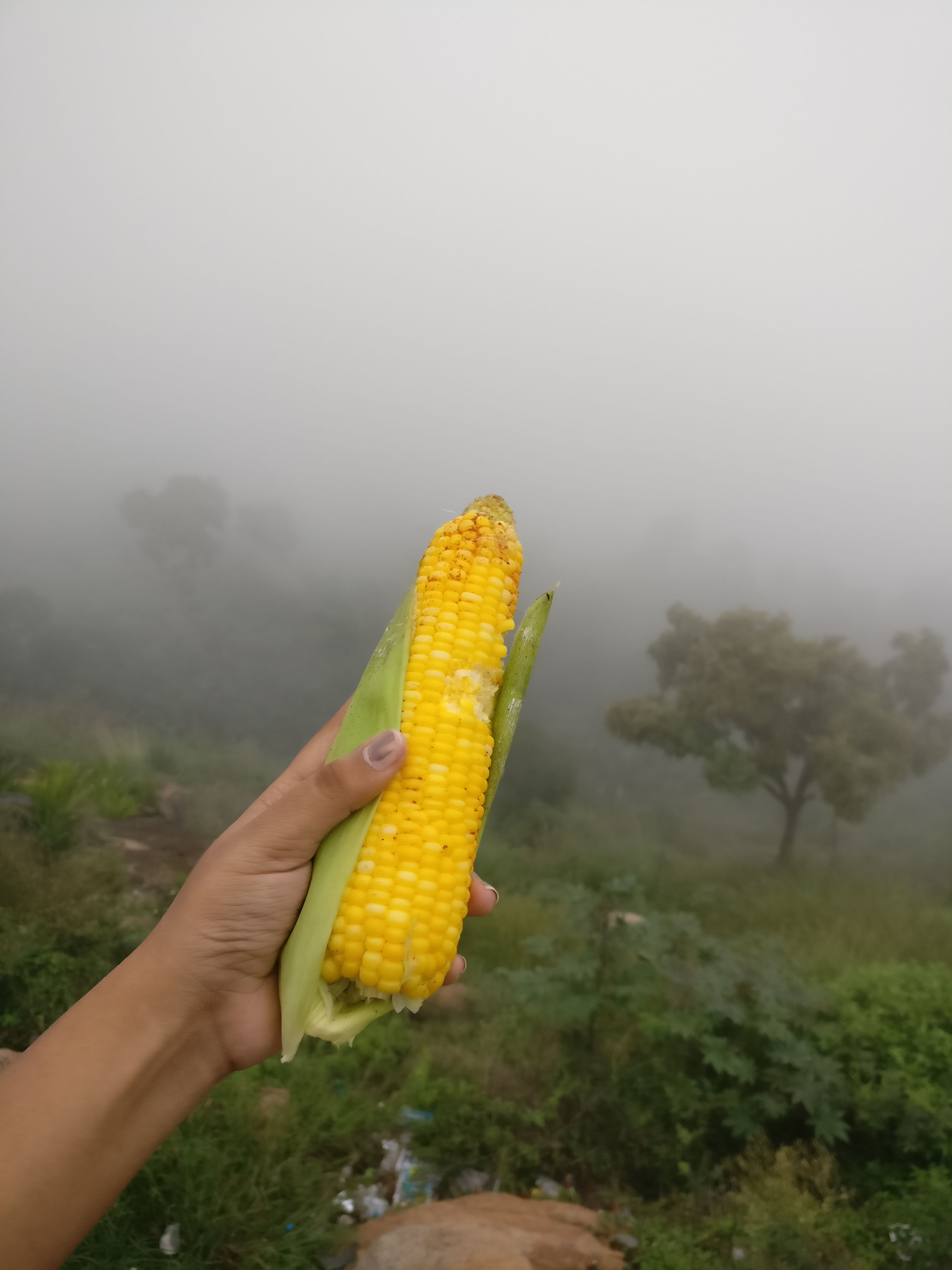 img-gallery-featured