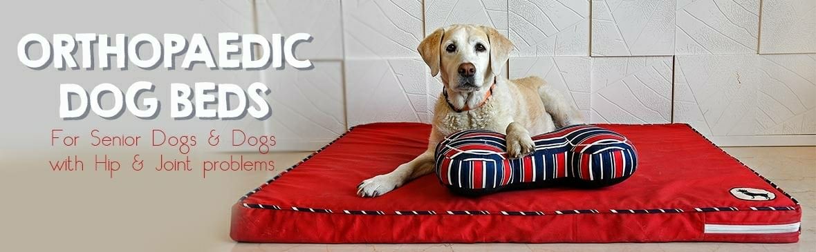 img-gallery-featured