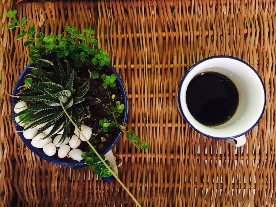 Food,Cup,Herb,Plant,Chinese herb tea,Coffee cup,Tableware,Dandelion coffee,Drink,Cuisine