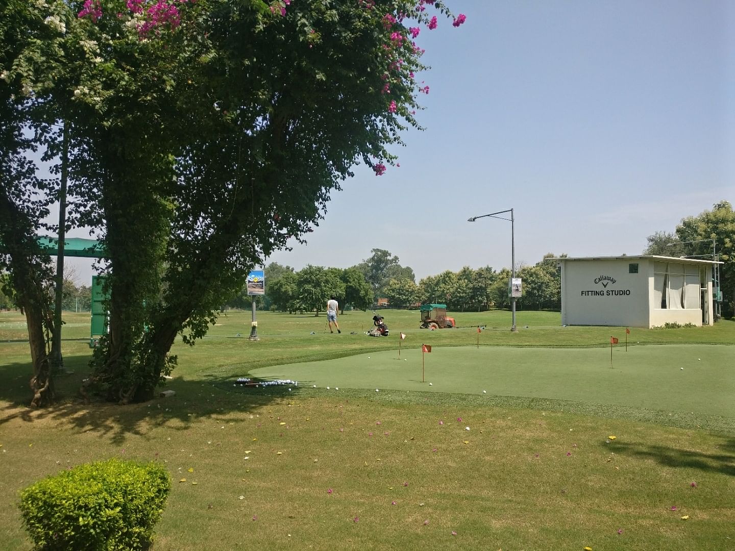 Sport venue,Grass,Lawn,Tree,Land lot,Park,Golf course,Recreation,Competition event,Plant