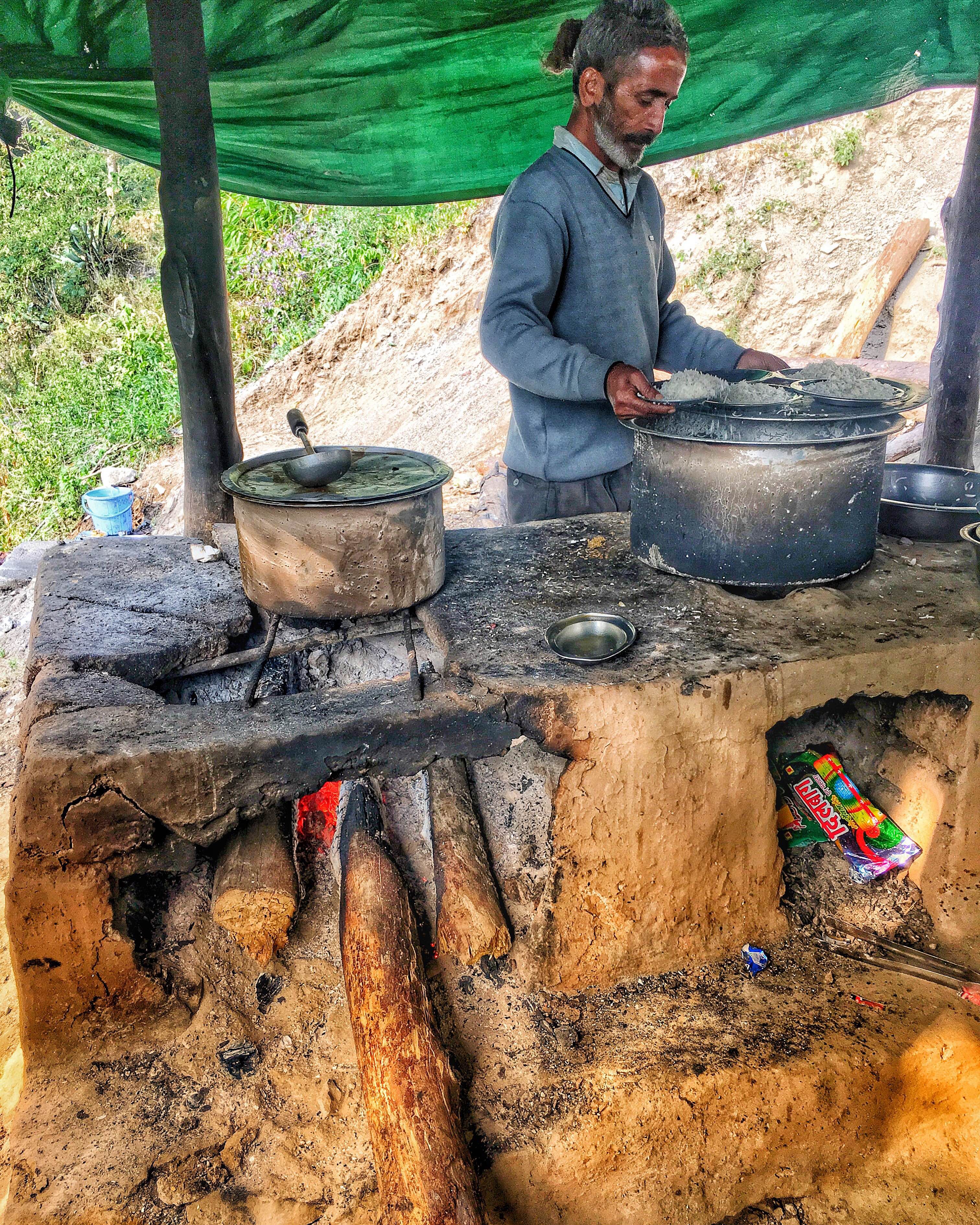 Tree,Trunk,Wood,Plant,Cooking,Tree stump