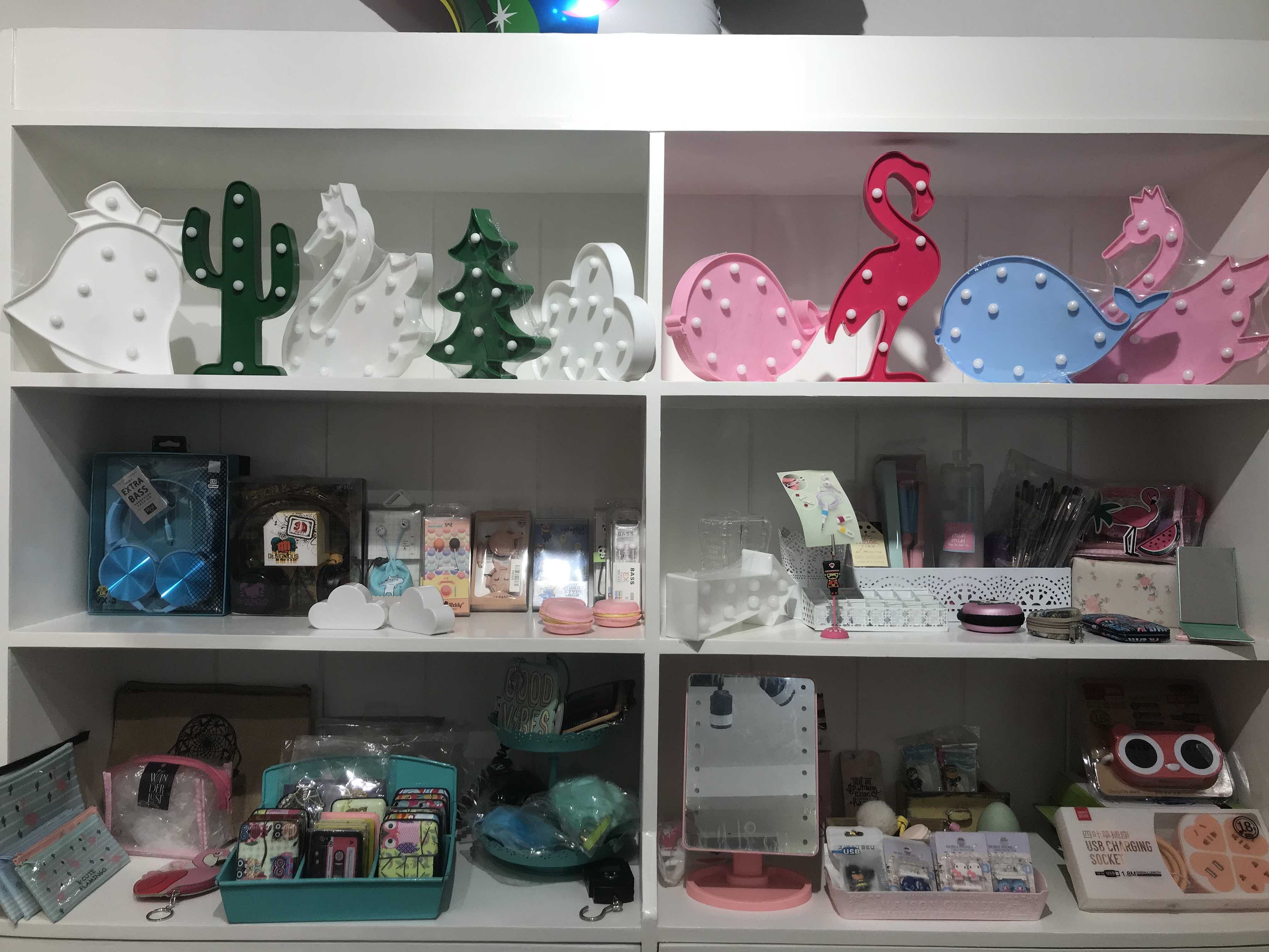 Shelf,Shelving,Toy,Collection,Furniture,Display case,Room,Plastic,Interior design