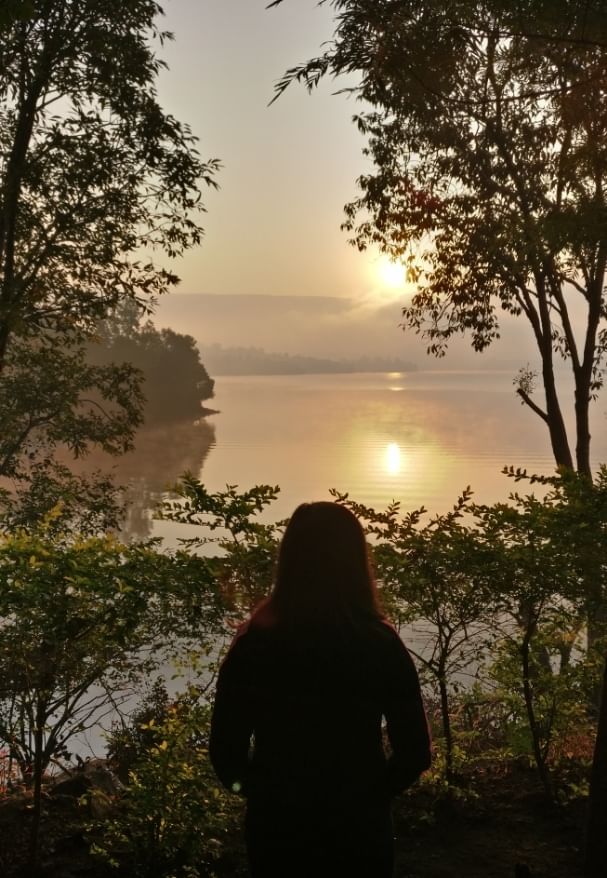 Sky,Nature,Tree,Atmospheric phenomenon,Water,Morning,Natural landscape,Sunlight,Sunrise,Backlighting
