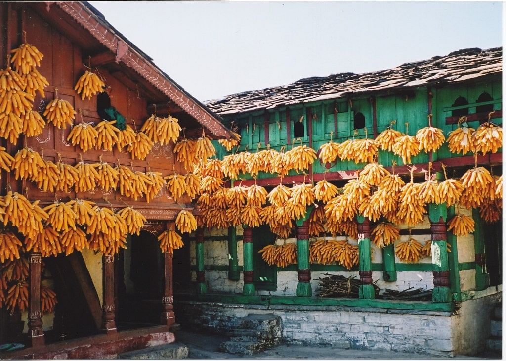 Building,Architecture,Plant