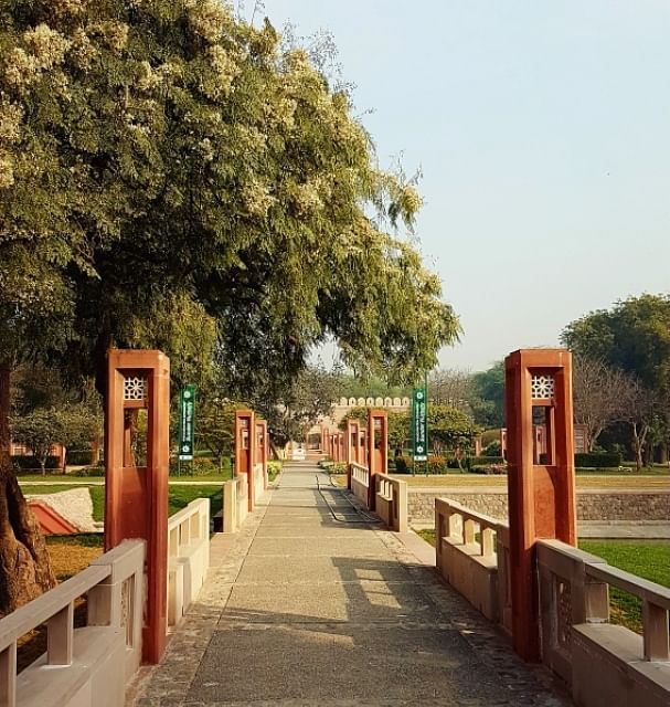 Tree,Natural landscape,Public space,Walkway,Woody plant,Spring,Wood,Plant,Architecture,Thoroughfare