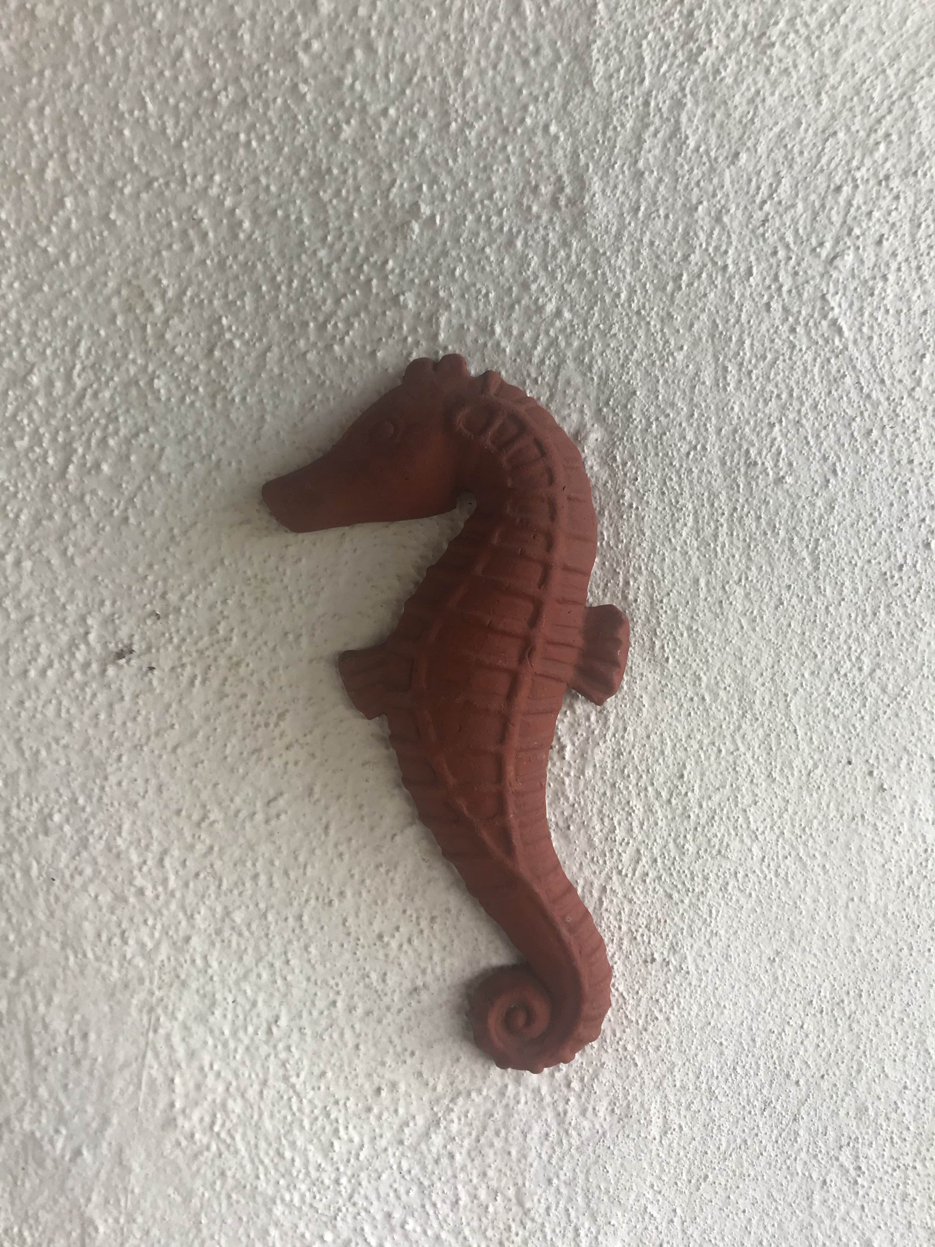 Seahorse,Syngnathiformes,Fish,Tail