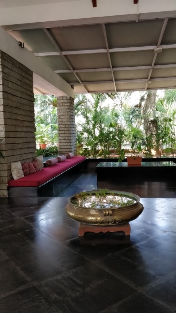 Property,Room,Interior design,Floor,Building,House,Architecture,Flooring,Houseplant,Daylighting