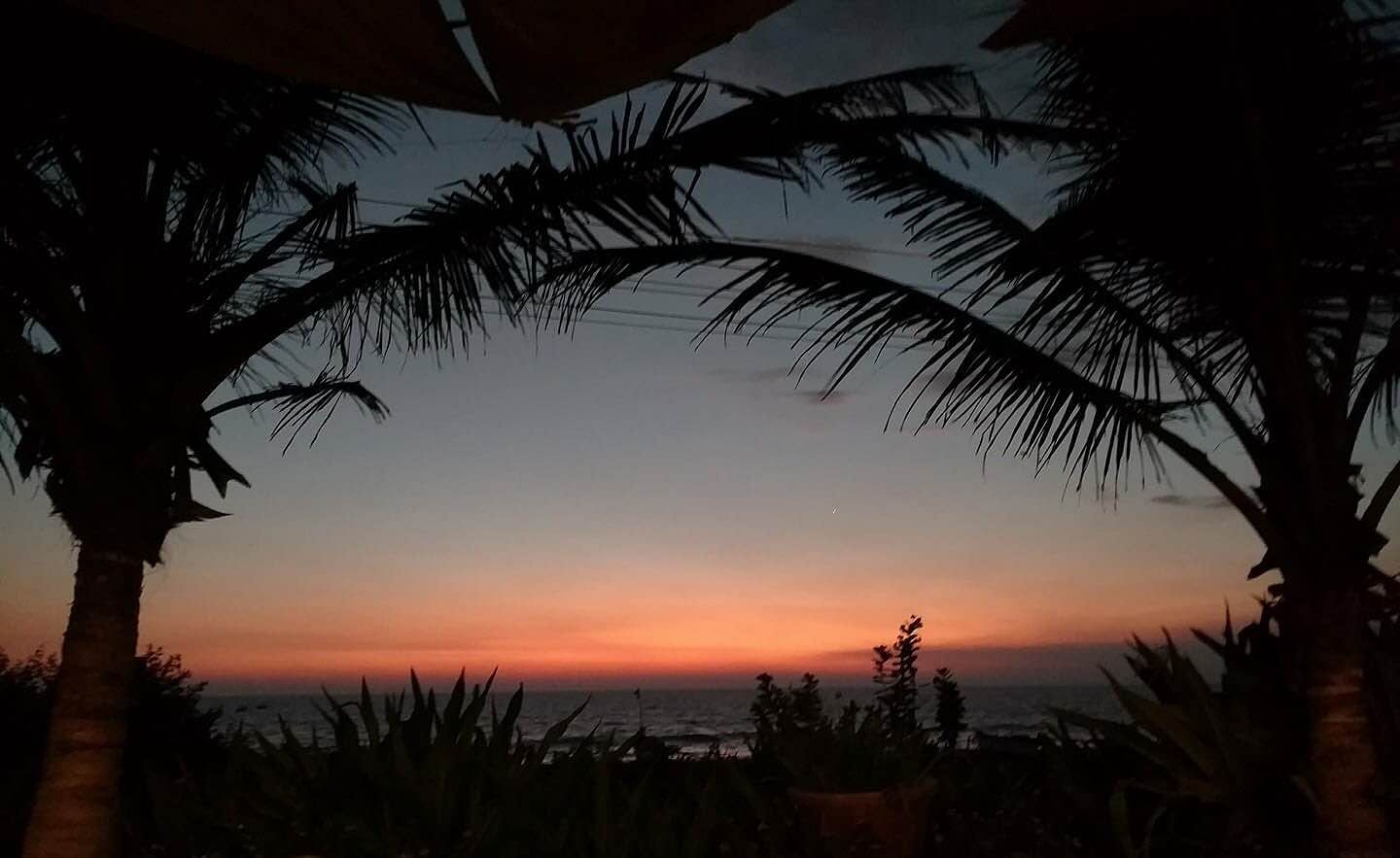 Sky,Afterglow,Sunset,Tree,Cloud,Sunrise,Palm tree,Evening,Horizon,Dusk