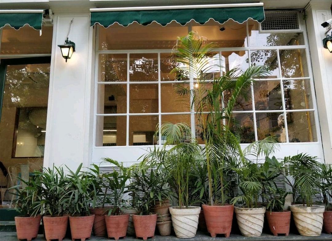 Property,Houseplant,Real estate,Plant,Home,Flowerpot,Window,Building,House,Herb