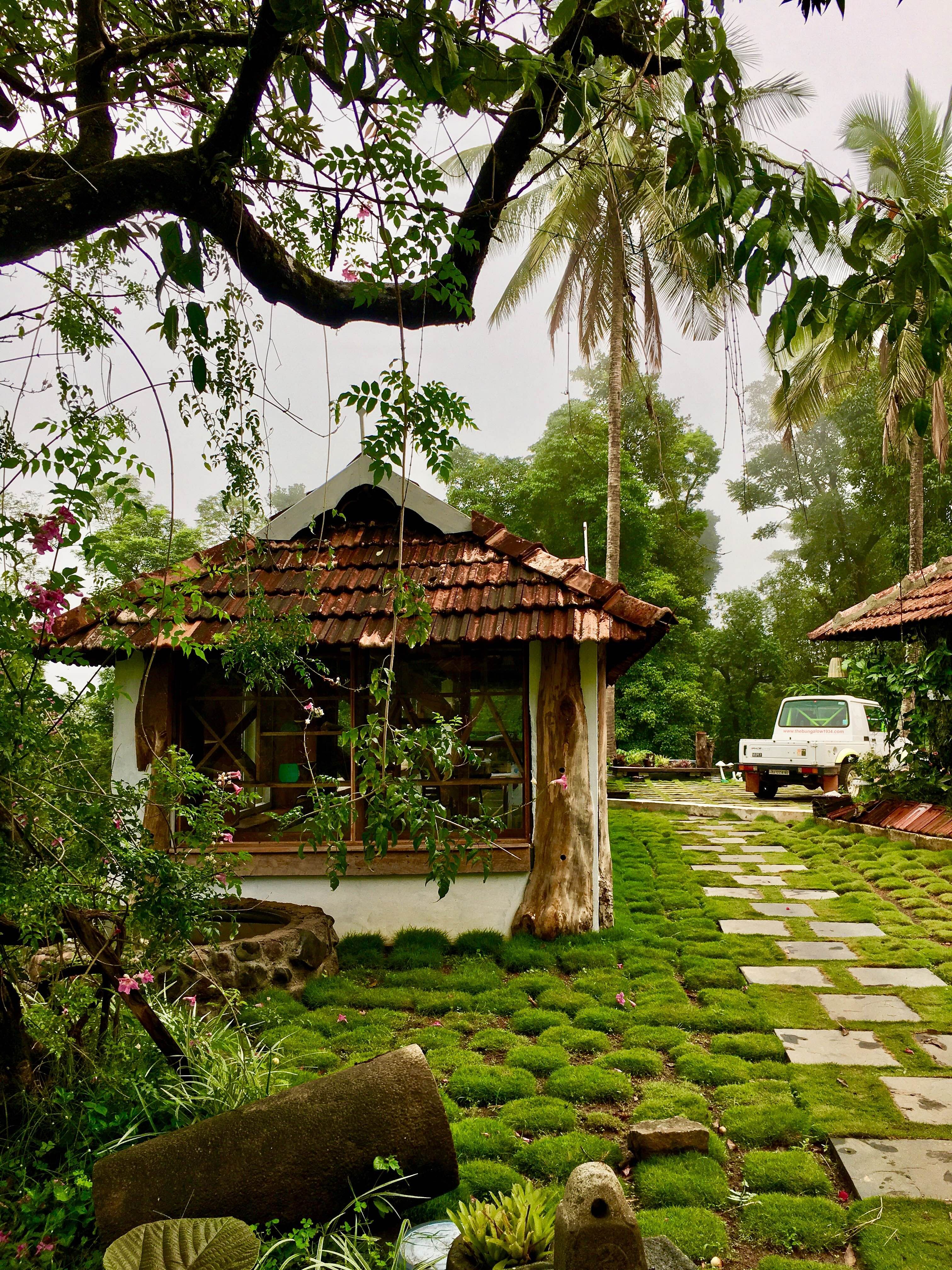 Botany,Tree,Building,House,Garden,Plantation,Grass,Adaptation,Plant,Architecture