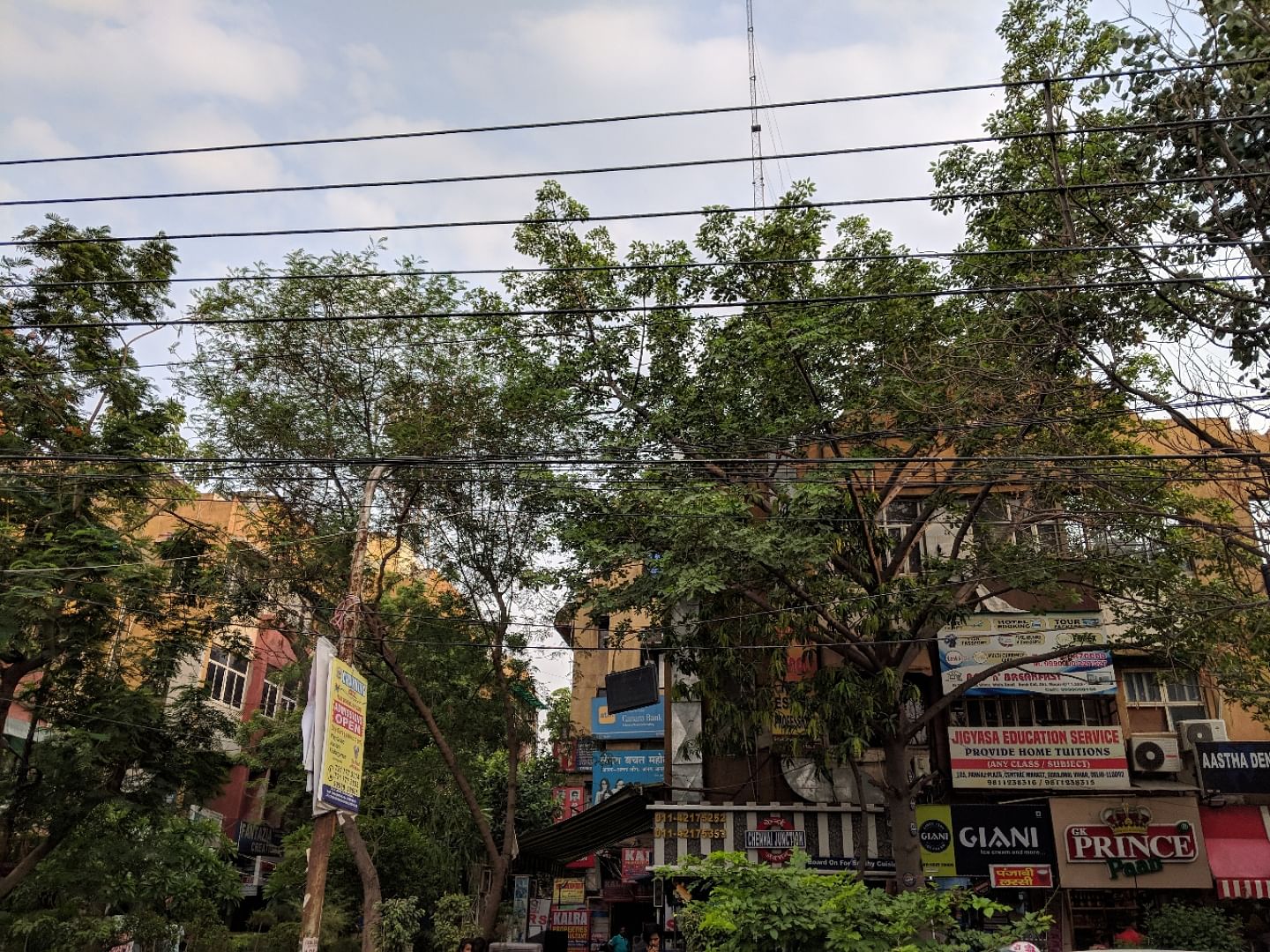 Tree,Sky,Urban area,Town,Residential area,Snapshot,Neighbourhood,Woody plant,Plant,Architecture