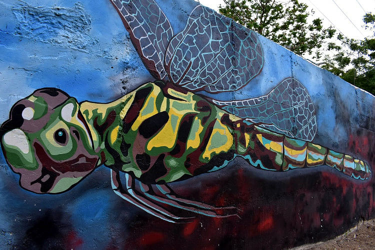 Street art,Art,Graffiti,Fish,Mural,Organism,Painting,Fish,Visual arts