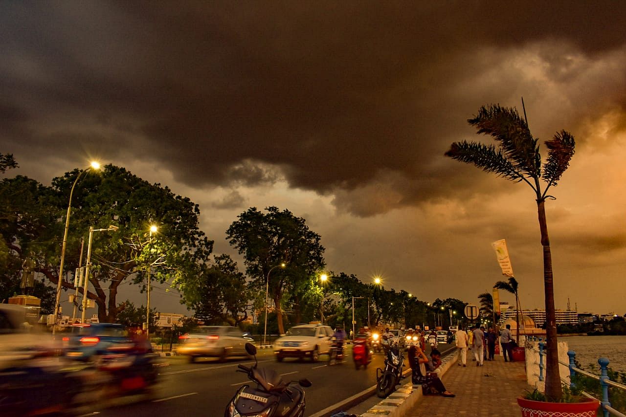 Sky,Cloud,Tree,Night,Palm tree,Evening,Tropics,Arecales,Woody plant,Sea