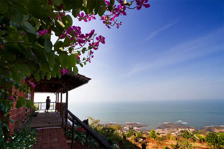 Nature,Sky,Bougainvillea,Property,Tree,Morning,Flower,Spring,Sea,Plant