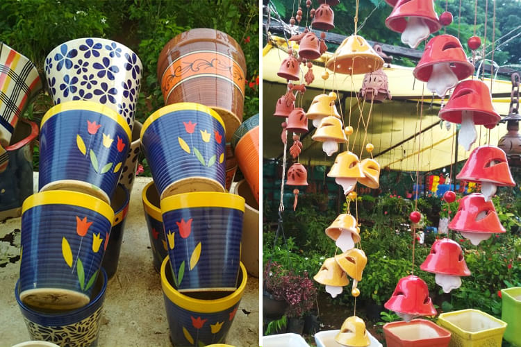 Footwear,Yellow,Shoe,Flowerpot,Plant,Flower