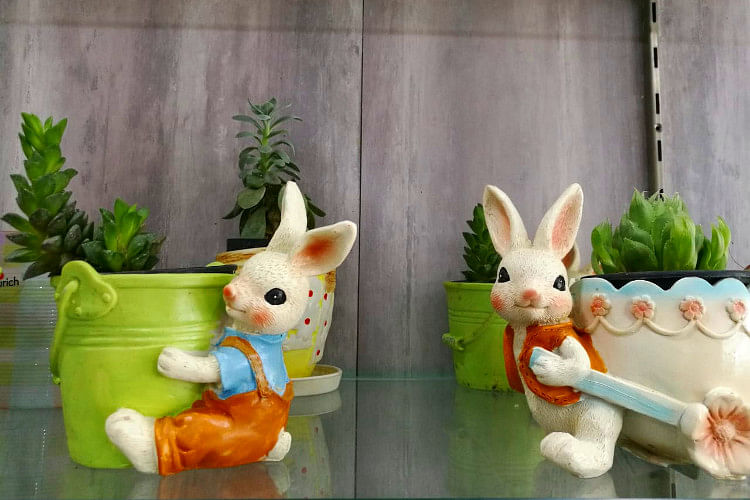 Toy,Organism,Flowerpot,Figurine,Grass,Easter bunny,Animation,Rabbits and Hares,Rabbit,Vegetable