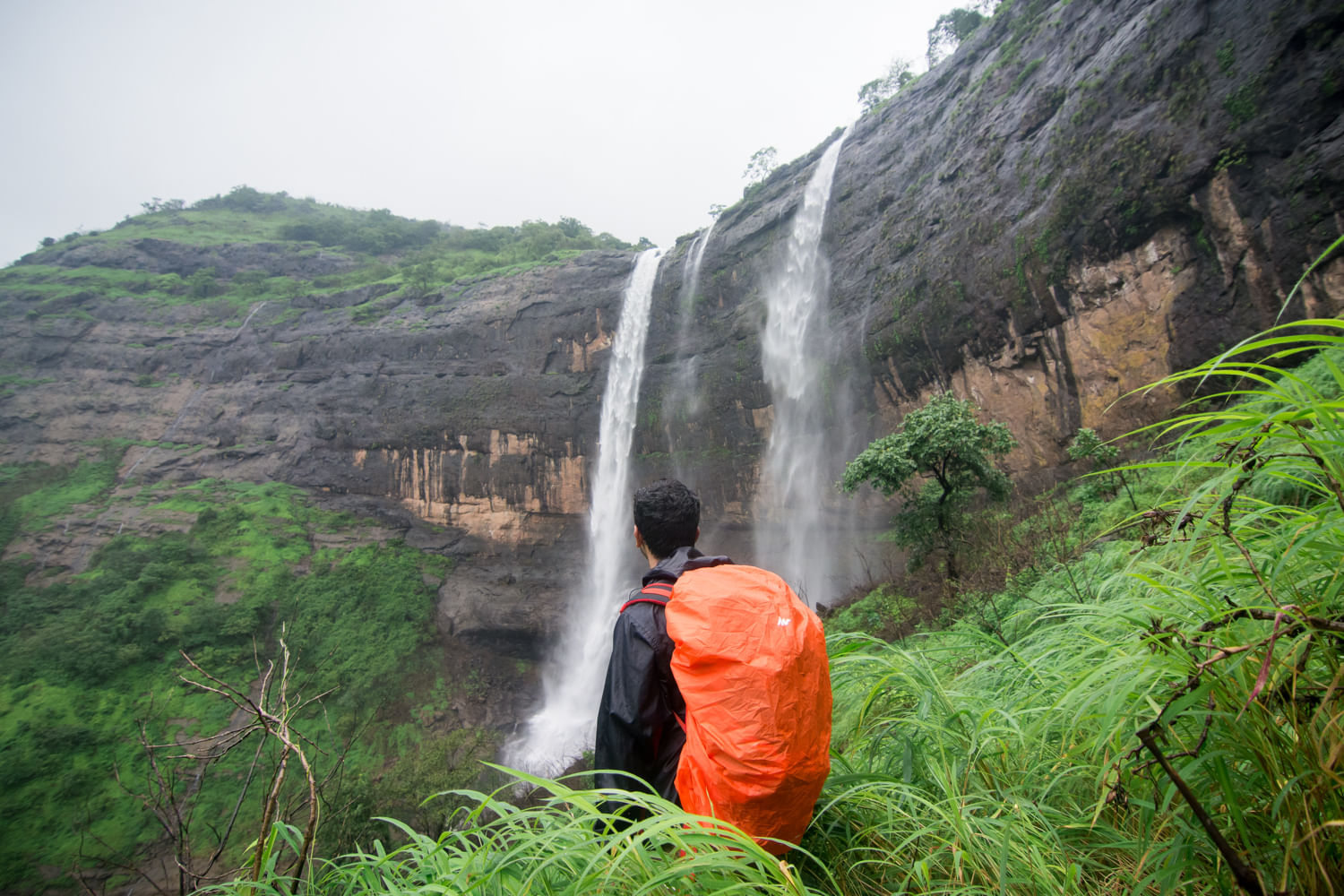 Waterfall,Nature,Vegetation,Water resources,Hill station,Water,Nature reserve,Natural landscape,Watercourse,Rainforest