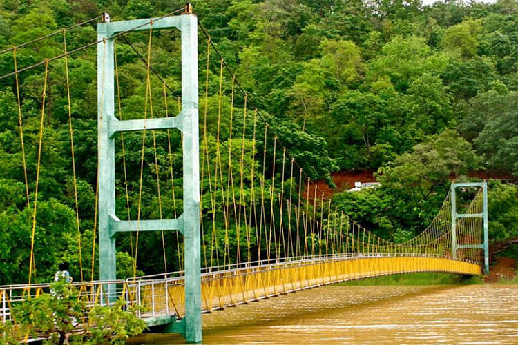 Nature,Green,Bridge,Water,Vegetation,Natural landscape,Nature reserve,Suspension bridge,Tree,Forest