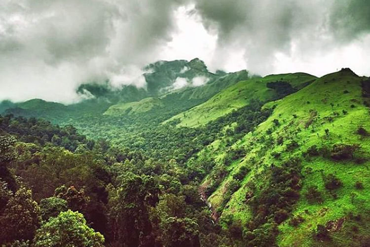 Vegetation,Green,Nature,Natural landscape,Highland,Mountainous landforms,Hill station,Hill,Mountain,Natural environment