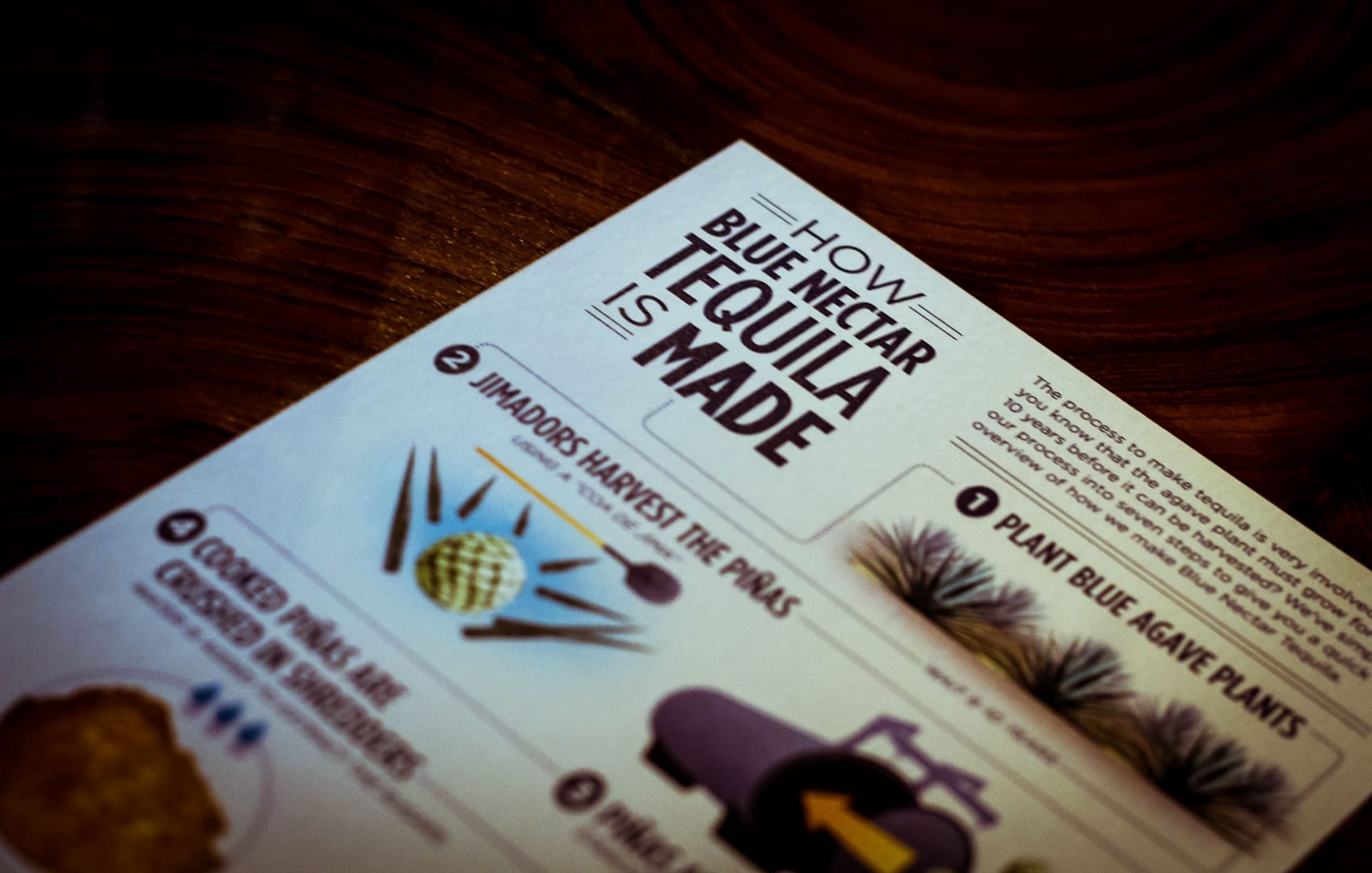 img-gallery-featured