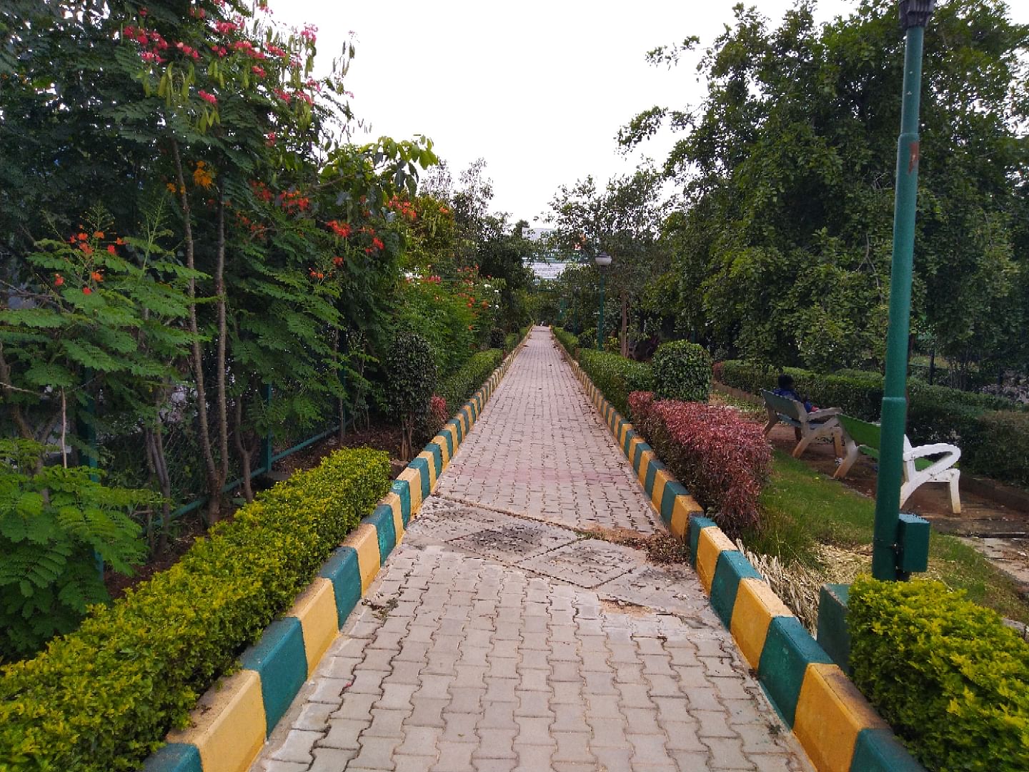 Walkway,Tree,Garden,Botany,Botanical garden,Sidewalk,Plant,Leisure,Architecture,Tourism