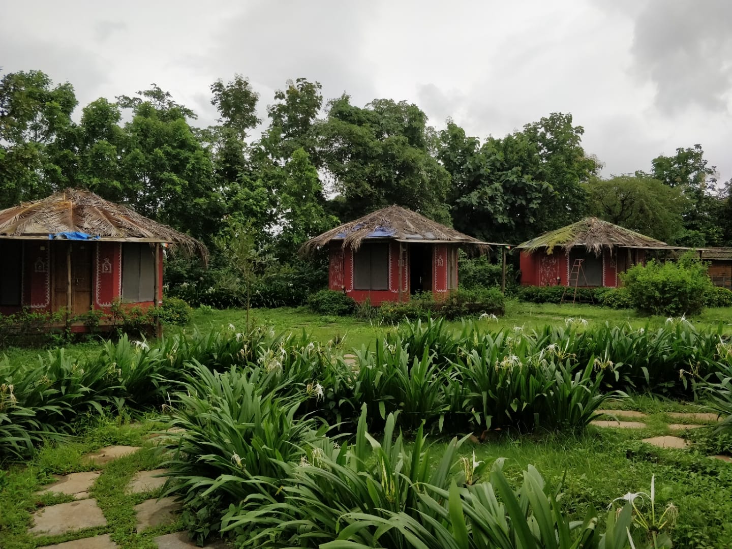 Natural landscape,Property,Jungle,Rural area,House,Botany,Hut,Building,Grass,Land lot