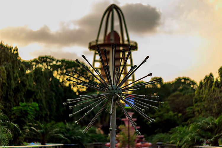 Amusement ride,Amusement park,Sky,Water,Landmark,Tourist attraction,Fun,Ferris wheel,Botany,Park