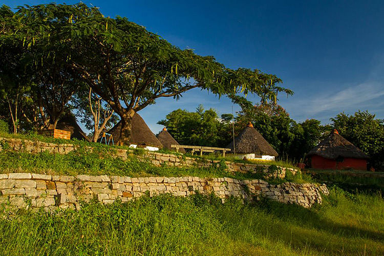 Nature,Sky,Vegetation,Tree,House,Rural area,Grass,Grass family,Hill,Home