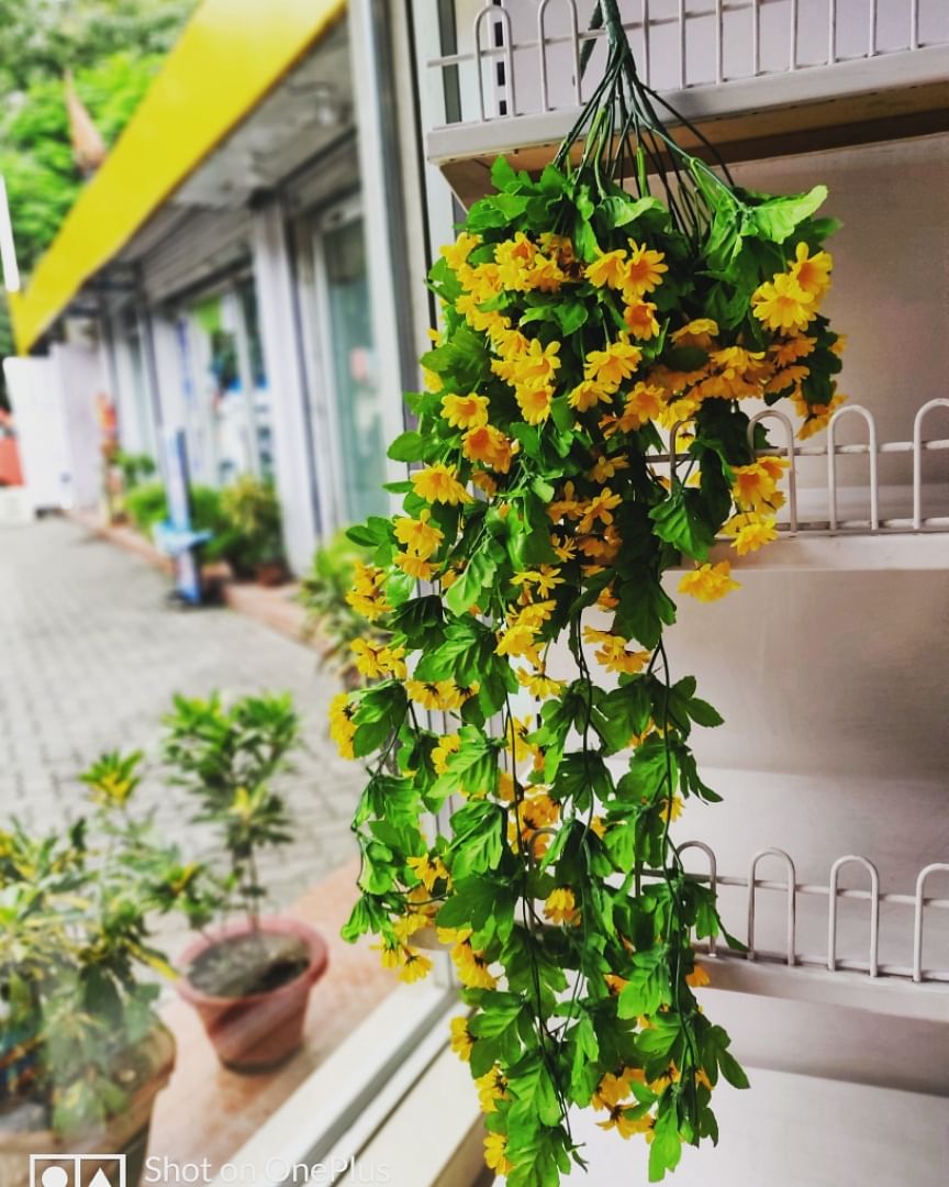 Flower,Plant,Houseplant,Yellow,Flowerpot,Leaf,Flowering plant,Artificial flower,Ivy,Floristry