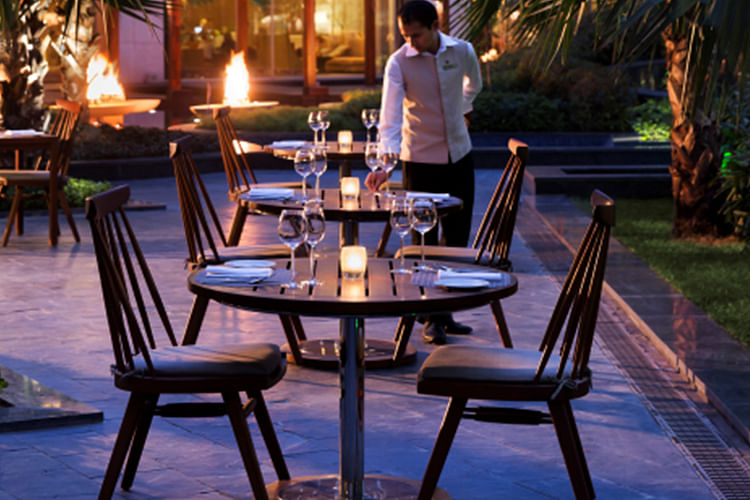 Furniture,Table,Outdoor table,Chair,Leisure,Outdoor furniture,Restaurant,Tree,Patio