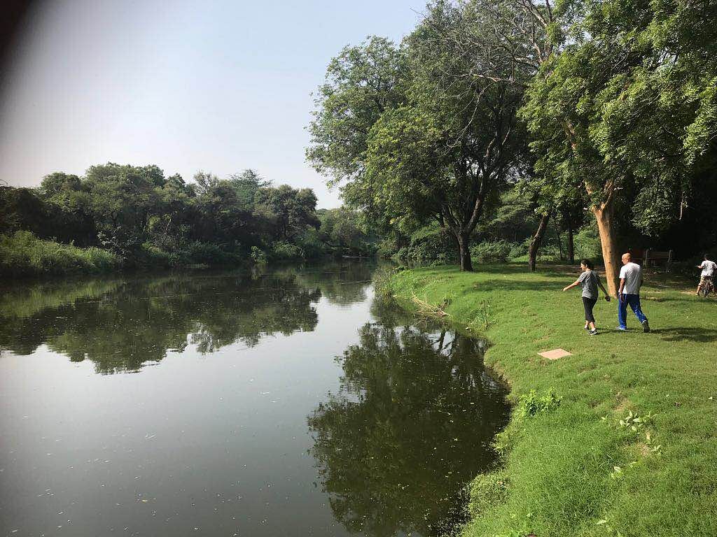 Nature,Water,Sky,Natural landscape,Reflection,Green,River,Tree,Water resources,Waterway