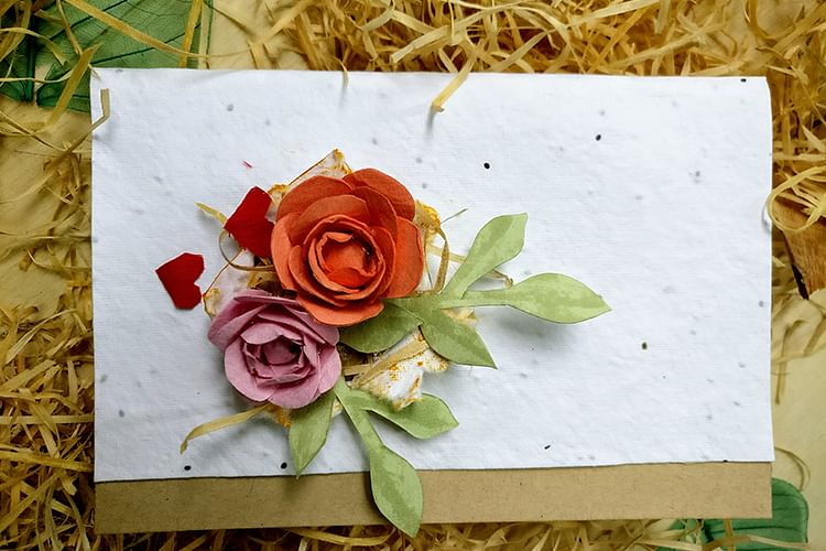 Flower,Garden roses,Yellow,Rose,Petal,Cut flowers,Plant,Floral design,Pink,Rose family