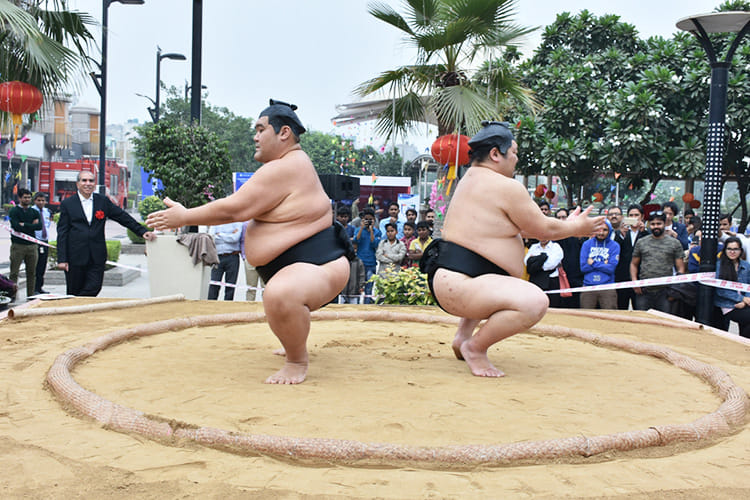 Sports,Barechested,Contact sport,Individual sports,Combat sport,Wrestling,Competition event,Muscle,Fun,Ssireum