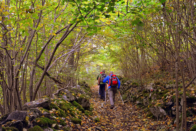 People in nature,Natural landscape,Hiking,Nature reserve,Wilderness,Trail,Adventure,Natural environment,Forest,Tree