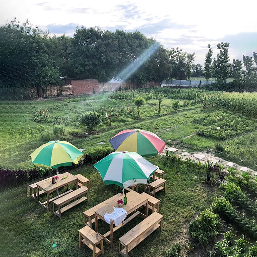 Green,Umbrella,Grass,Natural environment,Sky,Wilderness,Tree,Biome,Botany,Hill station