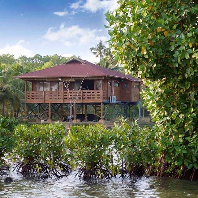 House,River,Bayou,Home,Building,Shack,Boathouse,Real estate,Cottage,Tree