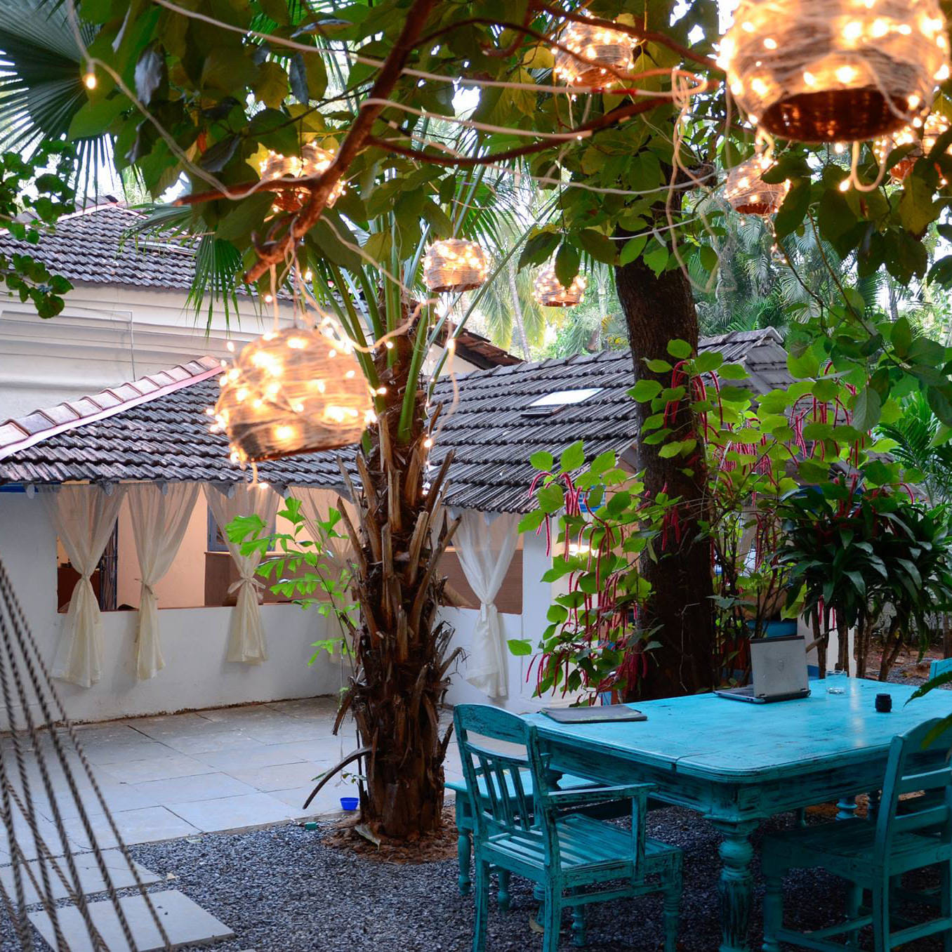 Tree,Botany,Patio,Plant,Backyard,Flower,Room,Houseplant,Flowerpot,Courtyard